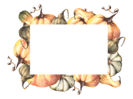 autunno zucche telaio autunno verdure raccolto. acquerello illustrazione design per il tuo Halloween, ringraziamento, invito, stampe, volantini, cibo, natura deco saluto carta png