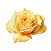 Yellow watercolor rose flower. AI Generative Pro PNG