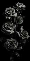 Spellbinding closeup portrait of roses, eternal melancholy, AI Generated photo