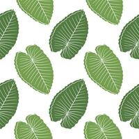 leaf illustration seamless pattern with nature theme on white background vector
