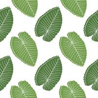 leaf illustration seamless pattern with nature theme on white background vector