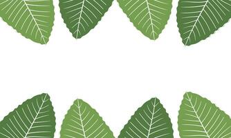 leaf illustration background with nature theme on white background vector