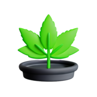 cannabis 3d le rendu icône illustration png