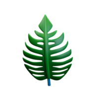 tropical leaves 3d rendering icon illustration png