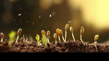 germinando semillas de vegetal en el tierra debajo nieve en invierno, ai generado foto