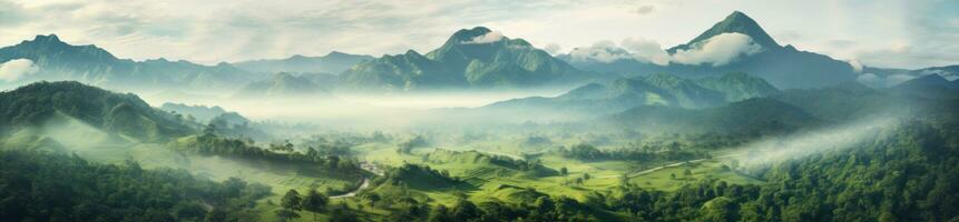 Jungle and mountains natural background photo