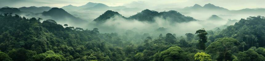 selva y montañas natural antecedentes foto