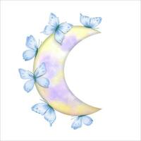 Hand drawn watercolor moon with butterflies vector