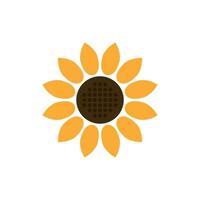 Sunflower icon in flat style. Flora vector illustration on isolated background. Sunflower sign business concept.