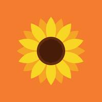 Sunflower icon in flat style. Flora vector illustration on isolated background. Sunflower sign business concept.