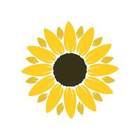 Sunflower icon in flat style. Flora vector illustration on isolated background. Sunflower sign business concept.