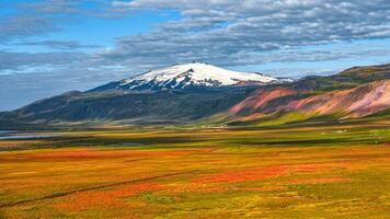 Snaefellsjokull volcano peak covered with snow cap. Panoramic over Icelandic colorful and wild landscape with meadow and moss field, volcanic black sand and lava at summer, Iceland photo