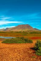 cubrir página con islandés vistoso y salvaje paisaje con prado y musgo campo, volcánico negro arena y lava a verano con azul cielo, Islandia foto