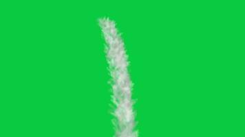 cascata lado Visão animação efeito isolado em verde tela fundo video