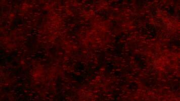 Microscopic red blood cells flow animation background video