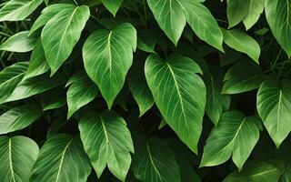 Leaf concept background seamless pattern green foliage of spring summer plants. AI Generative photo
