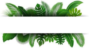 Sign with Text Space of Tropical Leaves. Suitable For Nature Concept, Vacation, and Summer Holiday, Vector Illustration