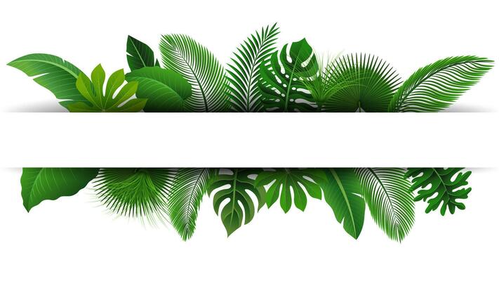 Sign with Text Space of Tropical Leaves. Suitable For Nature Concept, Vacation, and Summer Holiday, Vector Illustration