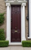 A stylish modern door display of the house. photo