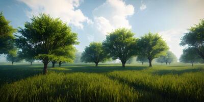 Serene spring summer jungle trees environment by misty rays of light. photo