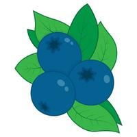 Blueberry Fruit Vector Icon