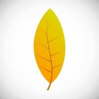 Willow yellow leaf. Autumn leaf of a tree on a white background. Vector illustration