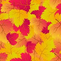 Autumn seamless background with maple colorful leaves. Design for fall season posters, wrapping papers and holidays decorations. Vector illustration