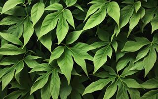 Leaf concept background seamless pattern green foliage of spring summer plants. photo