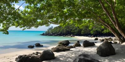 Relaxing scenic beach spring summer by green foliage of trees and rocks. photo