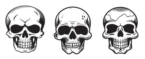 Set of skulls sketch hand drawn death day Vector