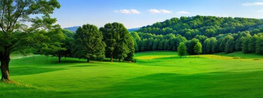 hermosa verde prado y arboles paisaje naturaleza para antecedentes creado con ai generativo foto