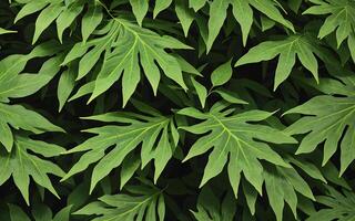 Leaf concept background seamless pattern green foliage of spring summer plants. photo
