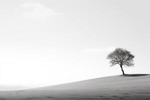 solitario árbol fundición oscuridad en contra rígido blanco antecedentes ai generativo foto