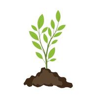 plant green on ground vector