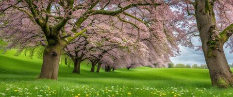 paisaje concepto antecedentes hermosa prados en primavera creado con ai generativo foto