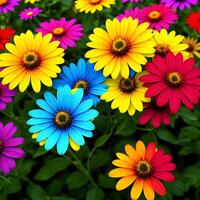 Closeup flower display assorted colorful blooming flowers by green foliage blurred background. photo