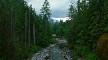 Aerial view of beautiful mountain landscape. A river flows among tall trees video