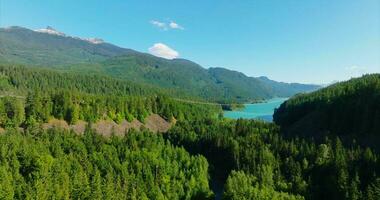 Antenne Drohne Aussicht von Gänseblümchen See während ein sonnig Tag. britisch Columbia, Kanada video