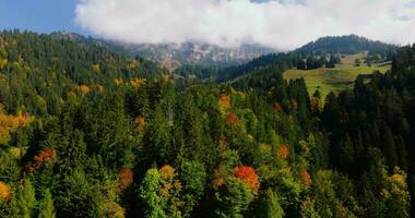 Antenne Aussicht von das schön Herbst schweizerisch Natur, Schweiz video