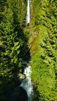 aéreo ver de hermosa cascada, británico Columbia, Canadá. vertical vídeo video