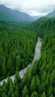 Aerial view of Canadian mountain landscape in cloudy day. Taken near Vancouver video