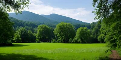 Spring concept background idyllic nature landscape by green grass foreground. photo