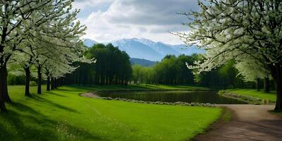 Spring concept background idyllic nature landscape by green grass foreground. photo