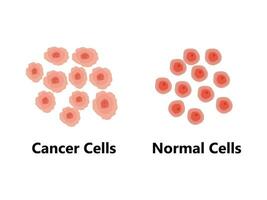 normal vs cáncer célula división. pérdida de normal crecimiento controlar de celúla. mutación de célula vs célula apoptosis vector