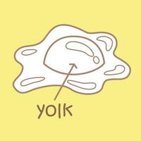 Alphabet Y For Yolk Vocabulary School Lesson Cartoon Digital Stamp Outline vector