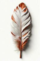 Hat Feather, Elegance and Style on a White Background, AI Generated photo