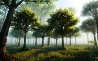 Serene spring summer jungle trees environment by misty rays of light. photo
