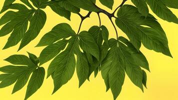 Tropical foliages seamless pattern on bright yellow backdrop for background photo