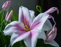 lirio, hermosa flor en blanco fondo, ai generado foto