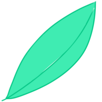 illustration of a green leaf png